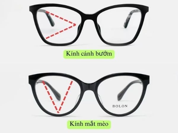 gọng hình bướm