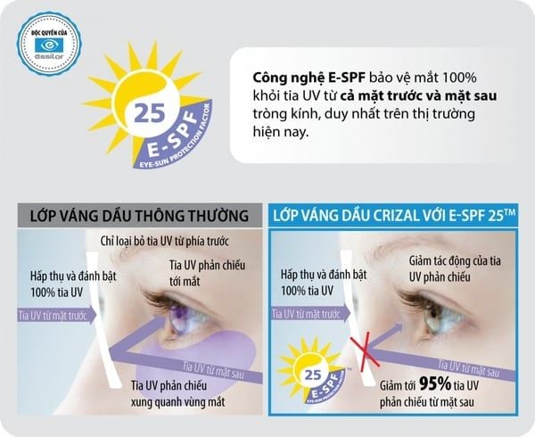 Tròng Kính Đổi Màu Trà/Khói Transitions Classic Essilor 1.56