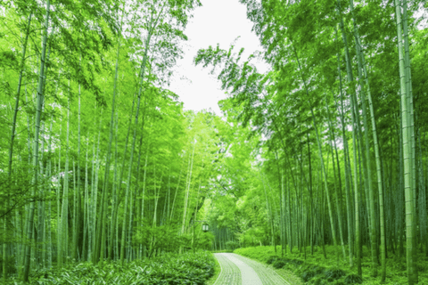 Lựa chọn vật liệu tre là minh chứng cho cam kết xây dựng bền vững