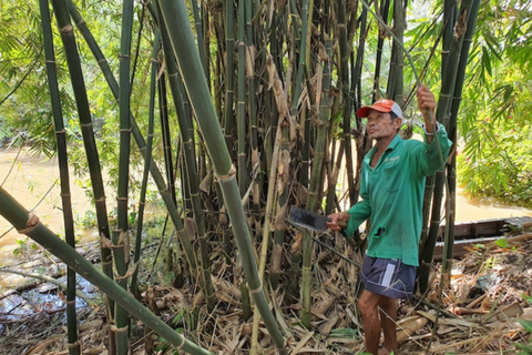 Sản phẩm từ tre mang về cho Việt Nam 300-400 triệu đô la Mỹ mỗi năm