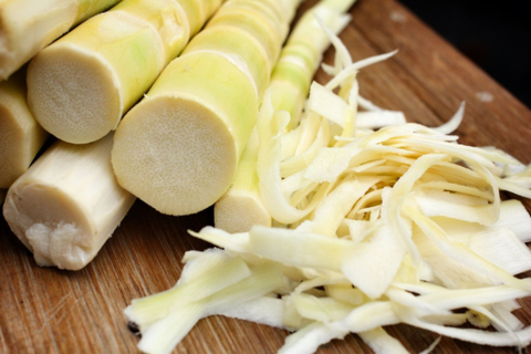 Các nhà khoa học hé lộ những giá trị dinh dưỡng bất ngờ từ măng tre