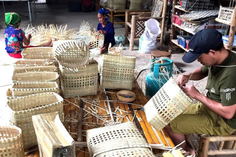 Nâng giá trị vùng nguyên liệu tre, luồng Bắc Trung Bộ