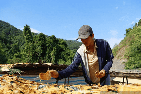 Đặc sản măng khô đậm vị núi rừng Tây Bắc