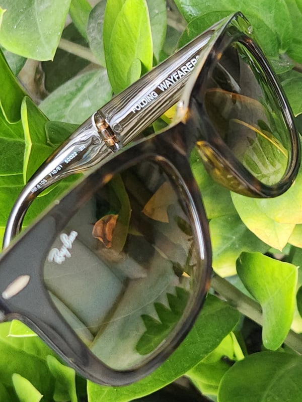 kinh rayban