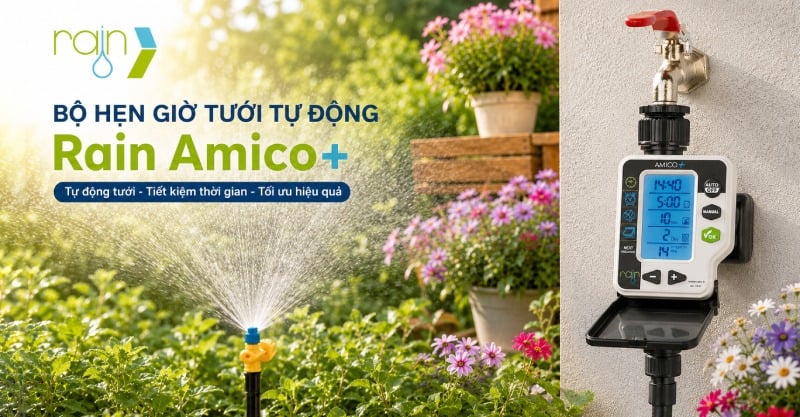 bo-dieu-khien-tuoi-tu-dong-rain-amico-plus-y-v2