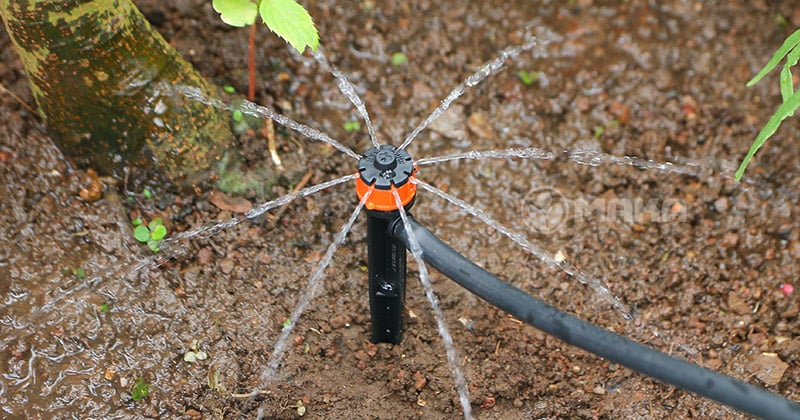 dau-tuoi-8-canh-bu-ap-pc-antelco-khi-hoat-dong-2