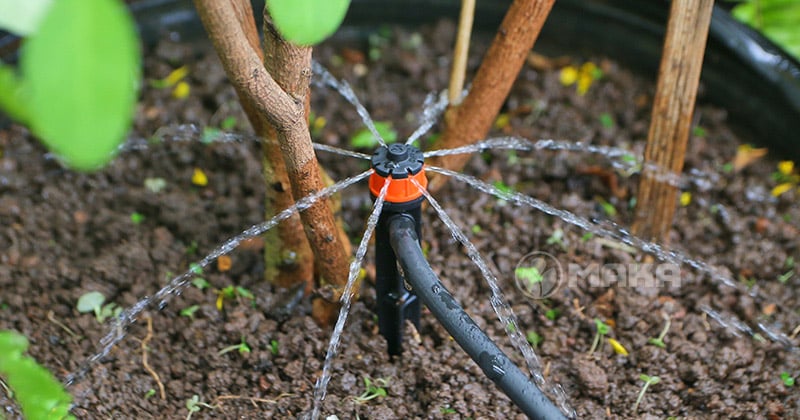 dau-tuoi-8-canh-bu-ap-pc-antelco-khi-hoat-dong