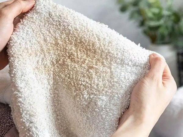 cách diệt nấm mốc trên khăn