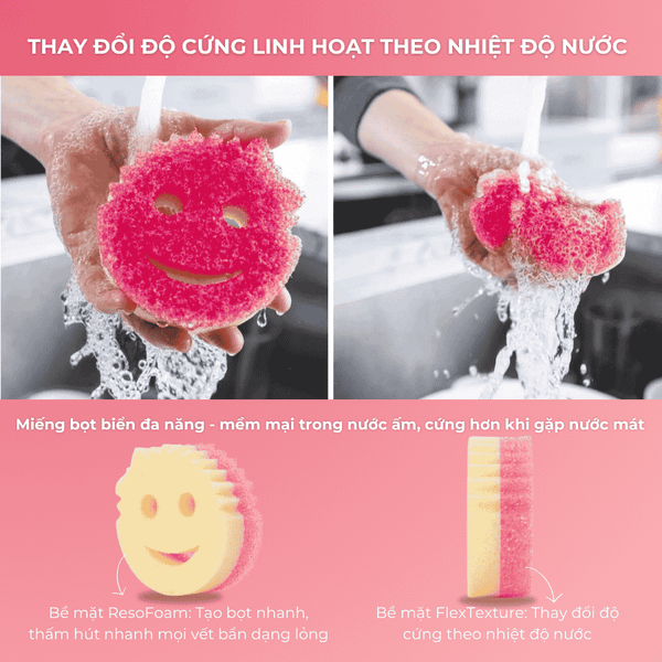 Miếng rửa chén bọt biển Scrub Mommy