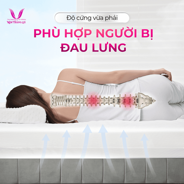 Khả năng nâng đỡ cơ thể đa điểm