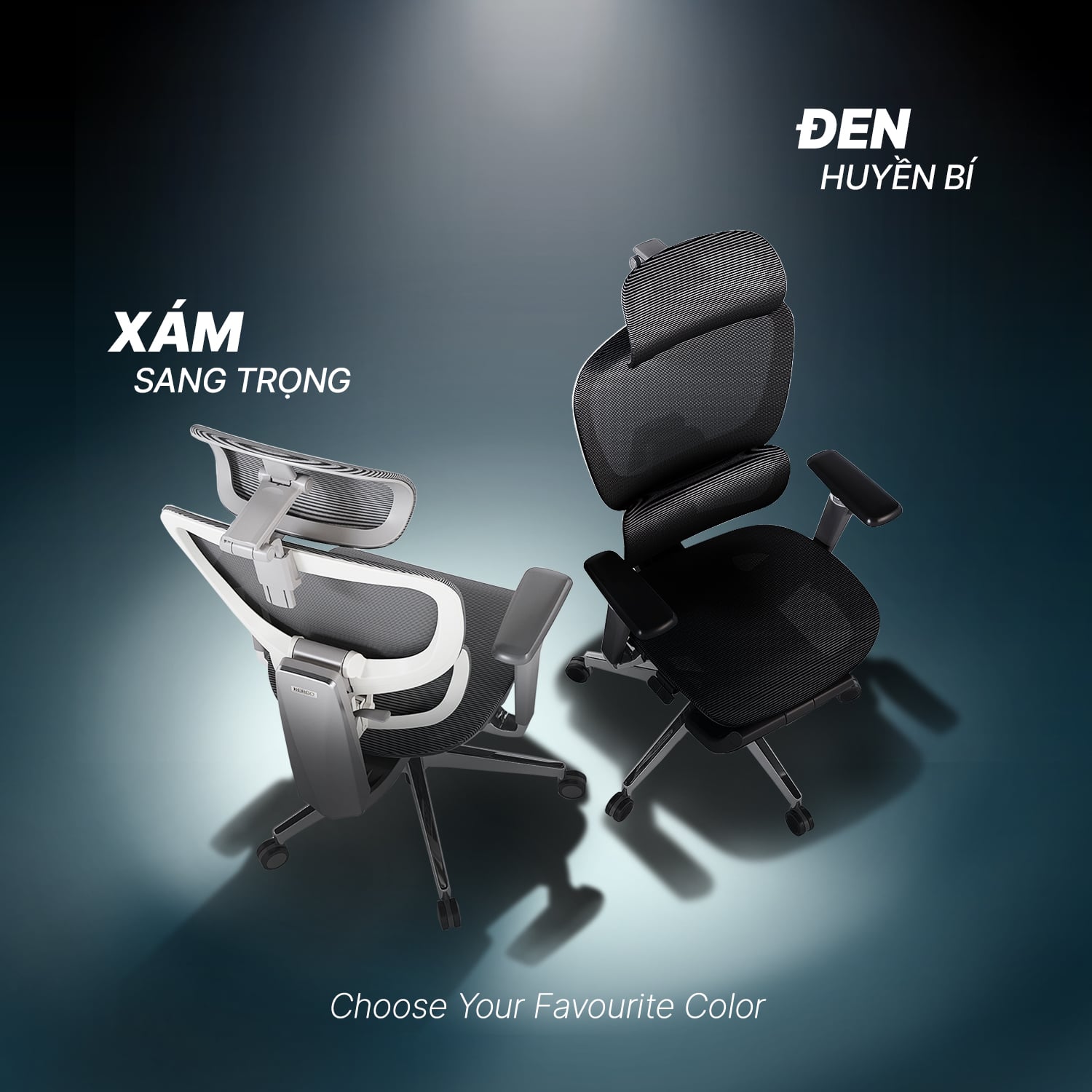 Hình ảnh sản phẩm