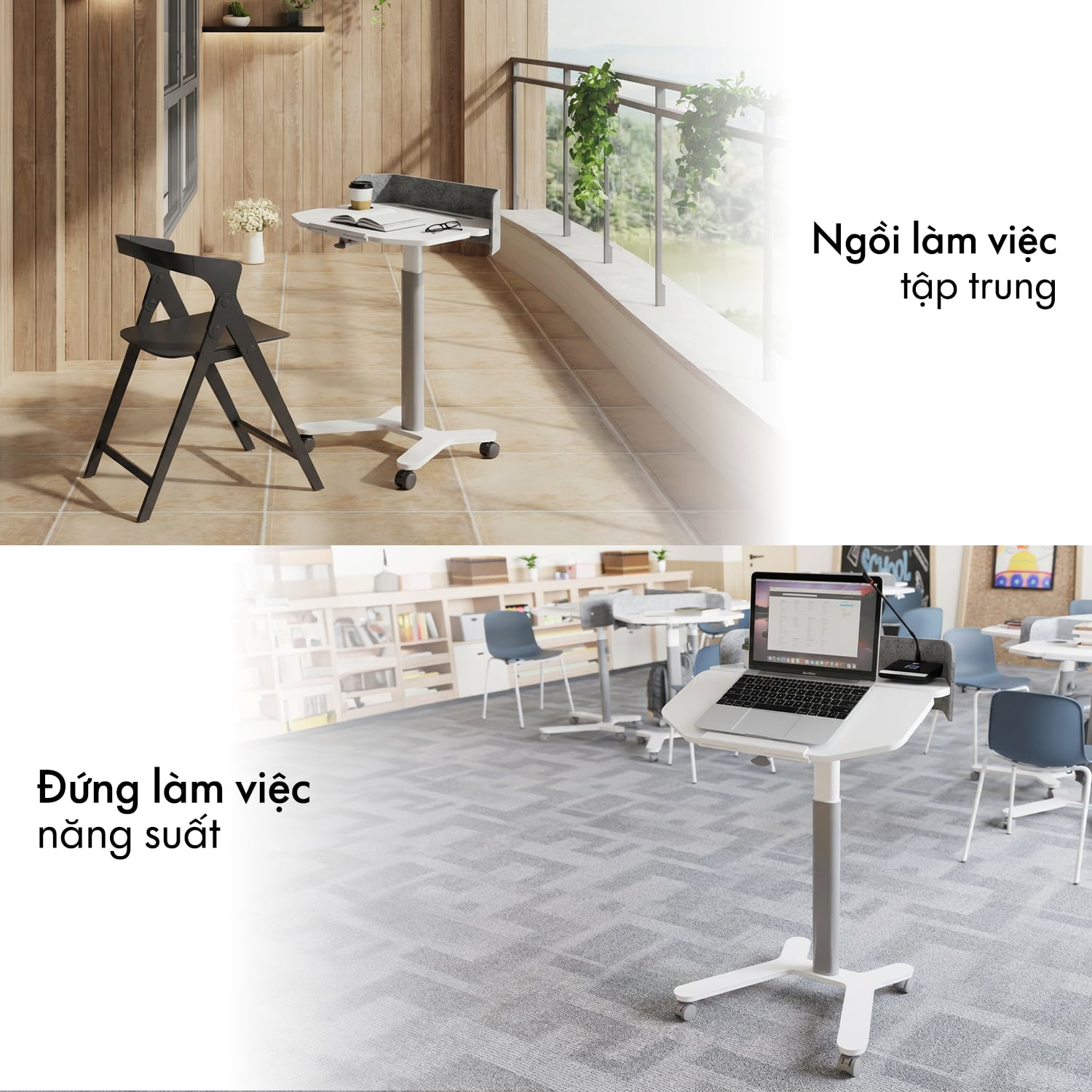 Hình ảnh sản phẩm