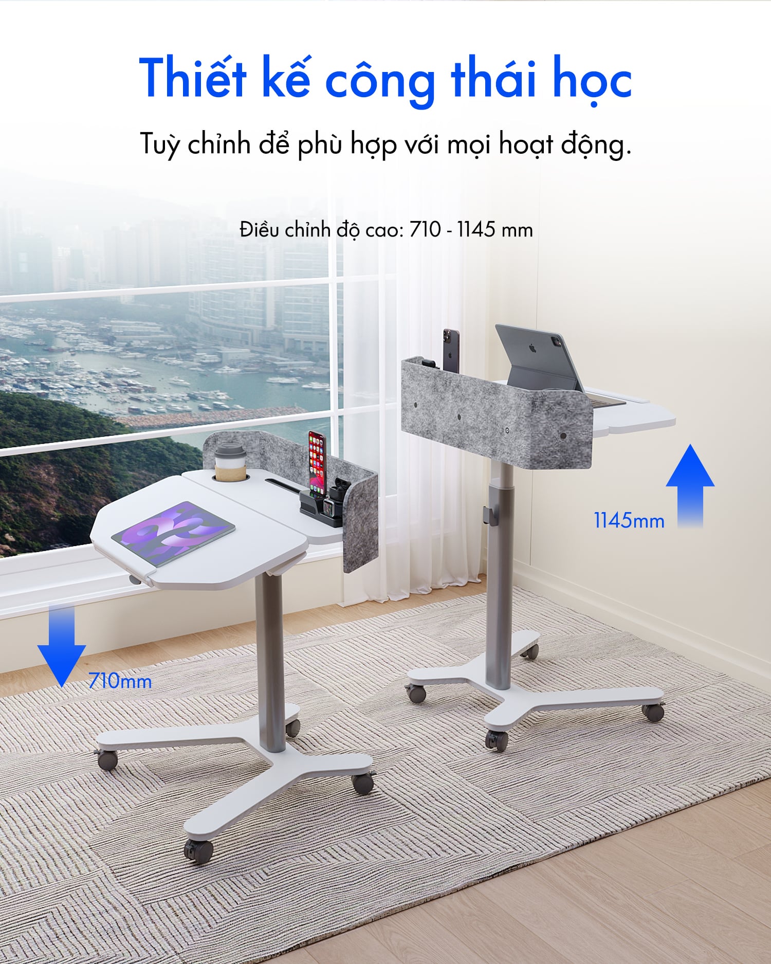 Hình ảnh sản phẩm