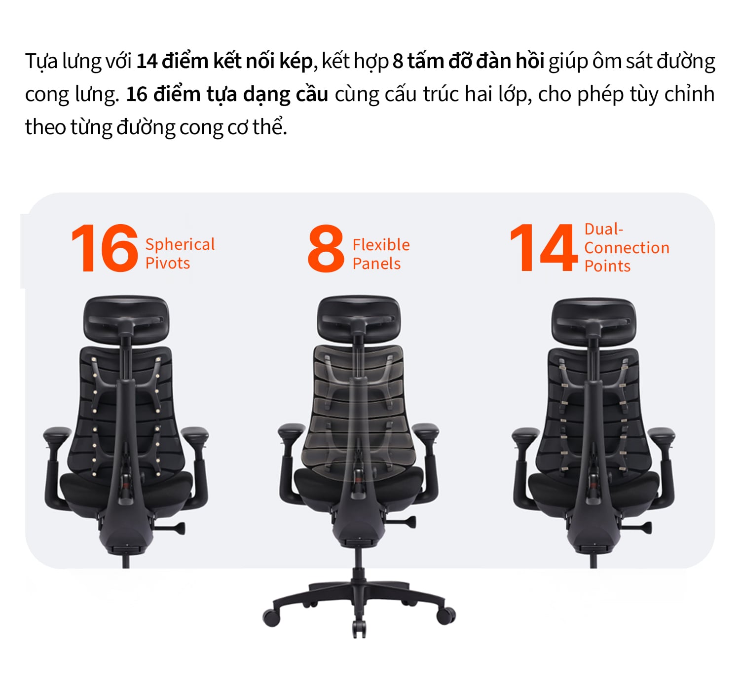 Hình ảnh sản phẩm