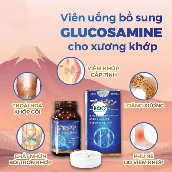 Tổng quan Viên Uống Hỗ Trợ Xương Khớp Fujina Prokan
