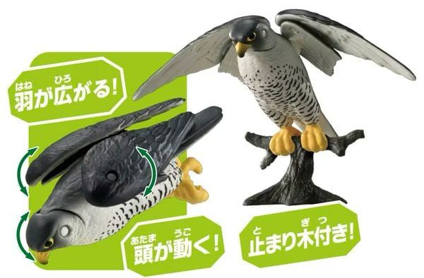 quà tặng thú ANIA AS-44 Peregrine Falcon Chim Cắt Lớn