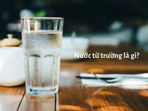 Nước từ trường là gì? Mức độ an toàn khi dùng lâu dài