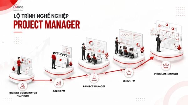 Lộ trình phát triển của Project Manager