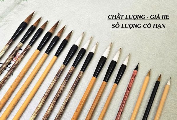 Lô bút lông thanh lý giá rẻ