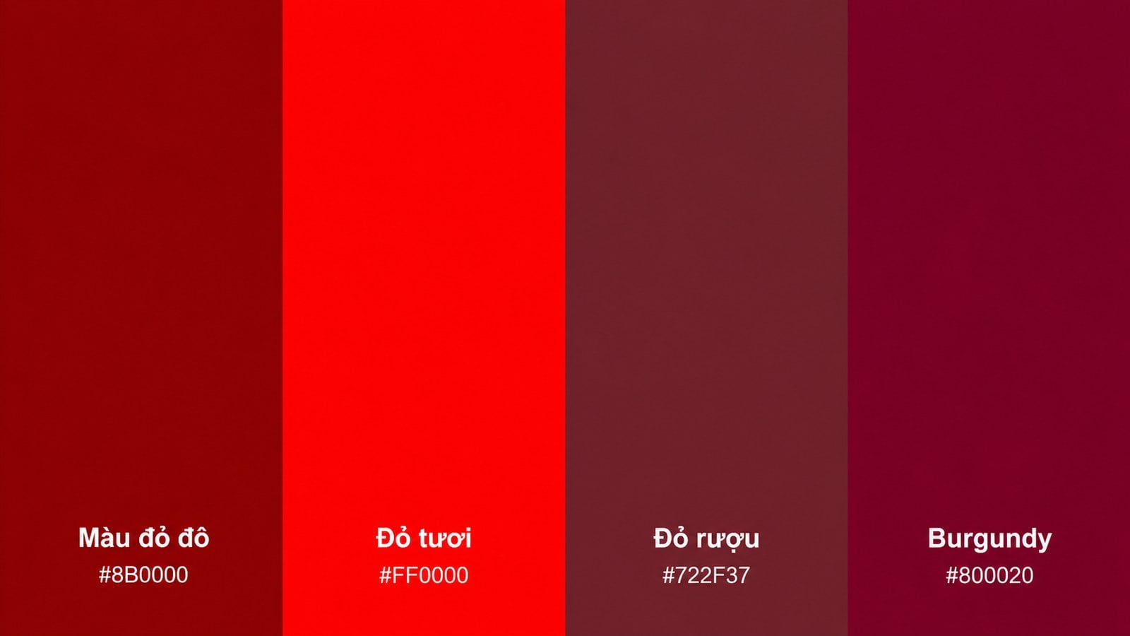 Phân biệt màu đỏ đô với đỏ tươi, đỏ rượu và burgundy