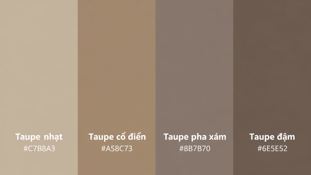 Taupe có thể ấm, lạnh, sáng hoặc tối