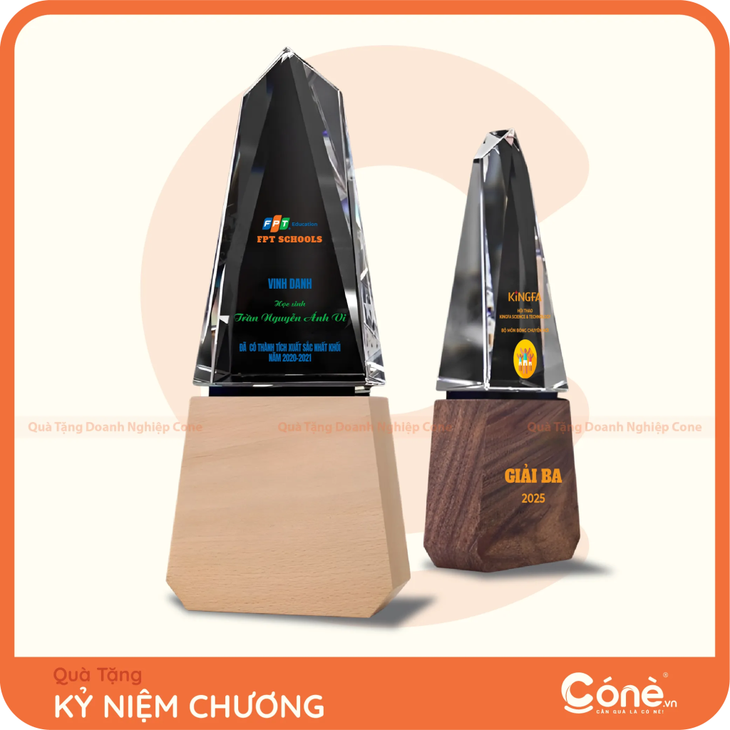 Kỷ niệm chương Khát Vọng pha lê đế gỗ in logo FPT Schools và Kingfa