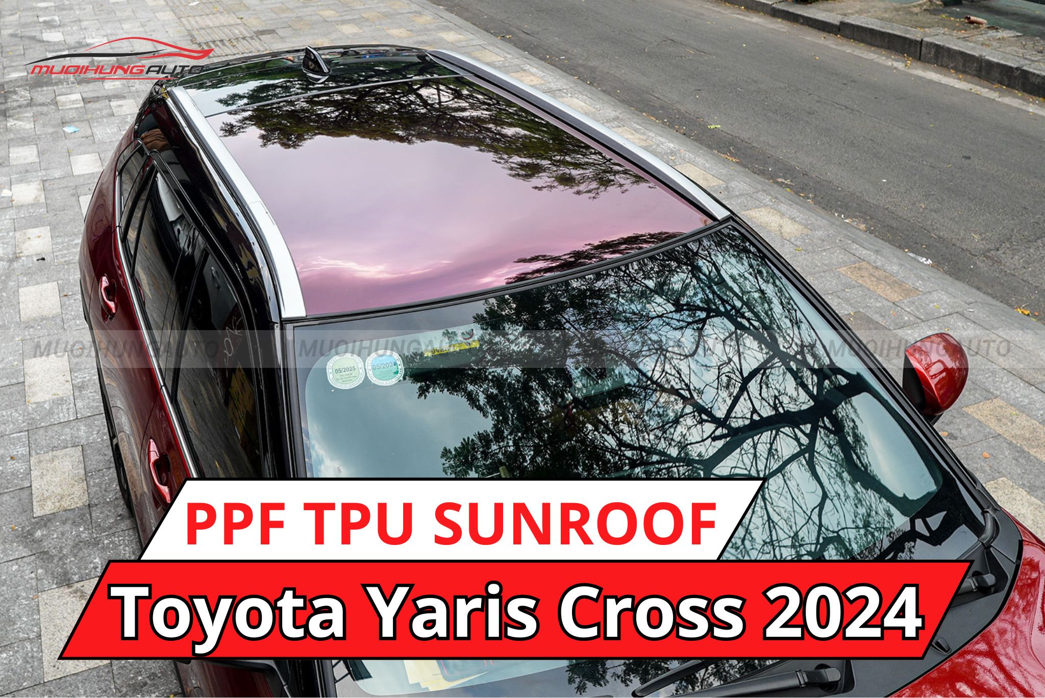 Phim PPF TPU Sunroof cách nhiệt cửa sổ trời cho xe Toyota Yaris Cross 2024