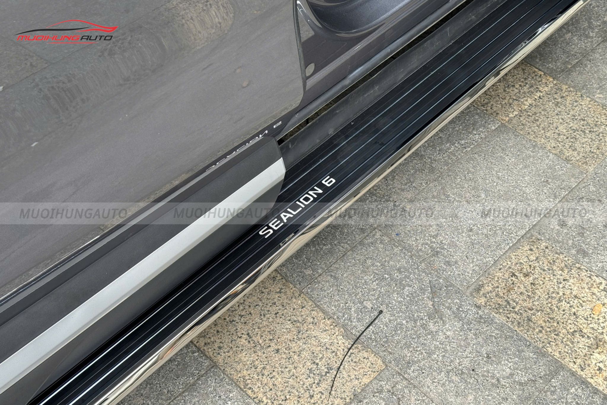 Bậc lên xuống BYD Sealion 6