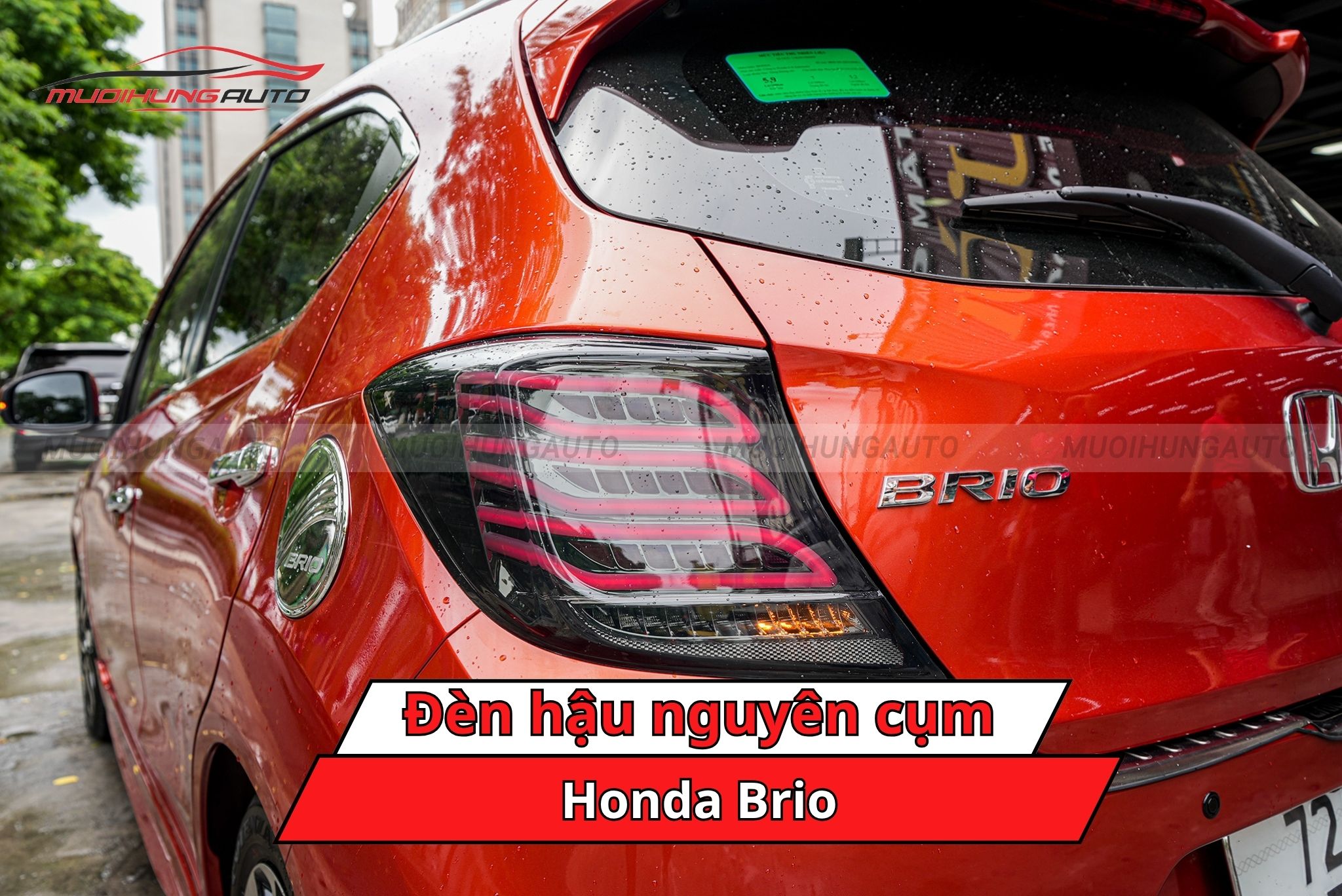 Đèn hậu nguyên cụm xe Honda Brio