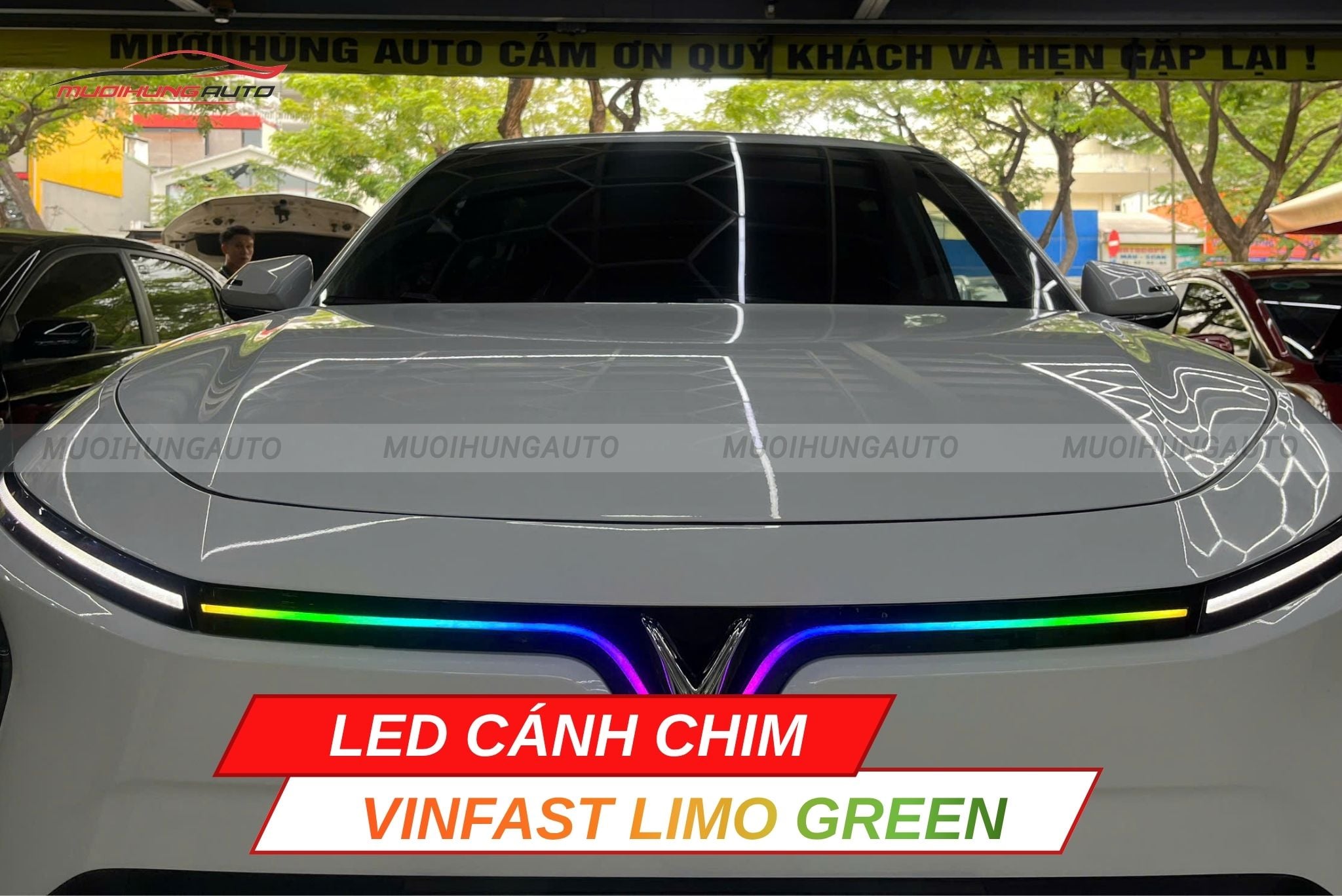 Đèn LED cánh chim Vinfast Limo Green