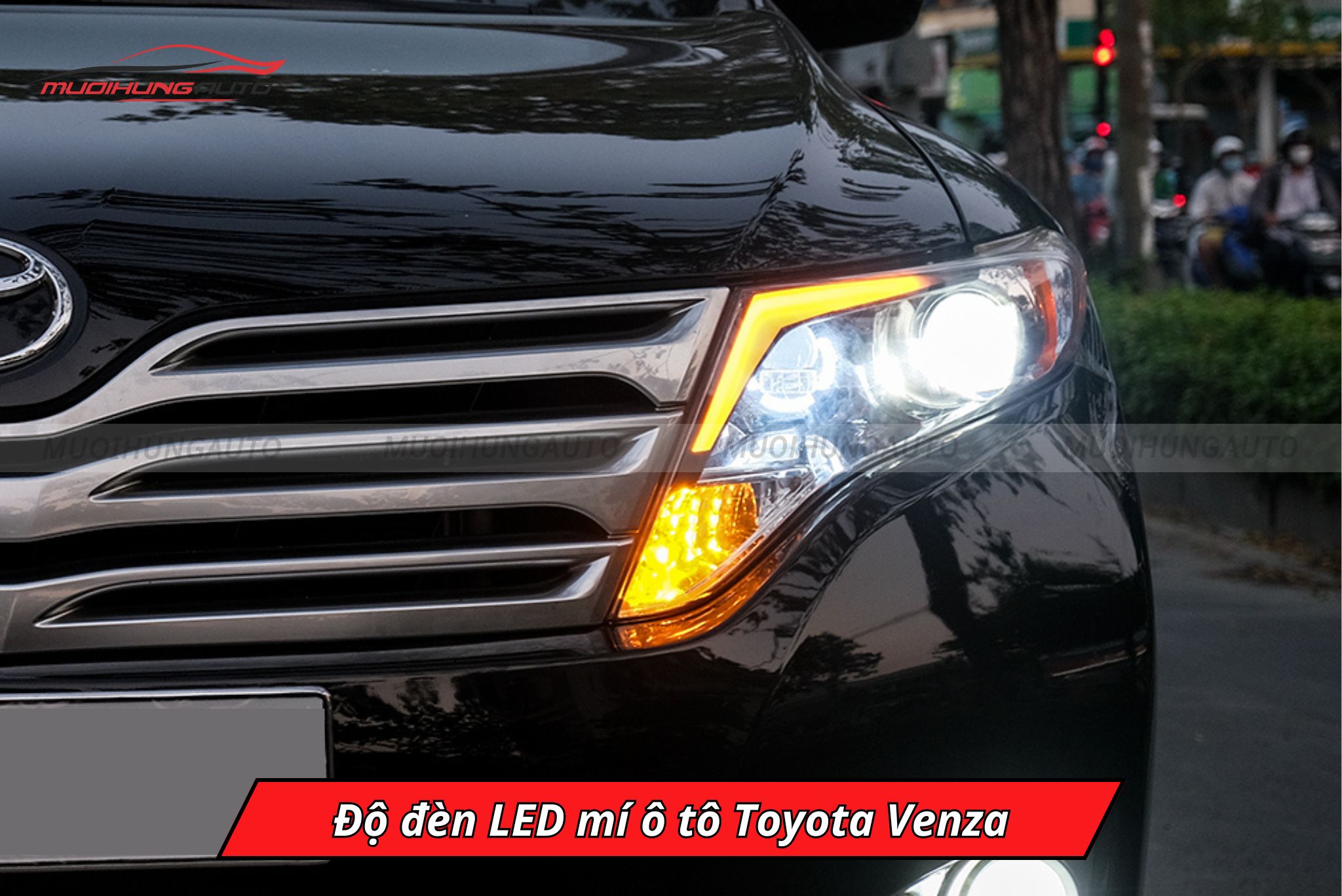 Đèn LED mí xe Toyota Venza