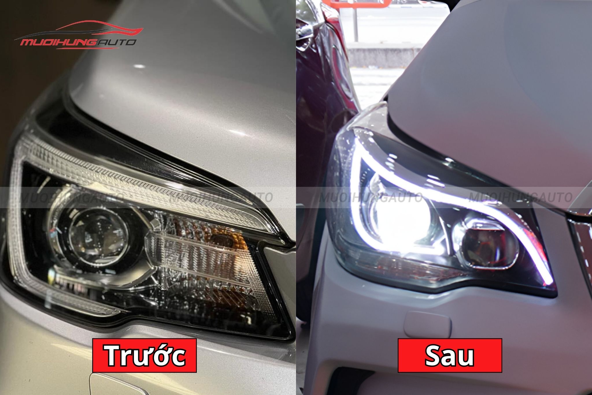 Đèn pha nguyên cụm cho Subaru Forester
