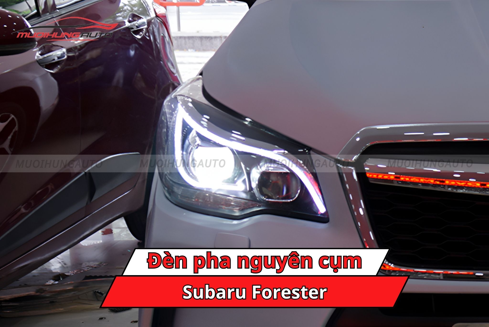 Đèn pha nguyên cụm cho xe Subaru Forester