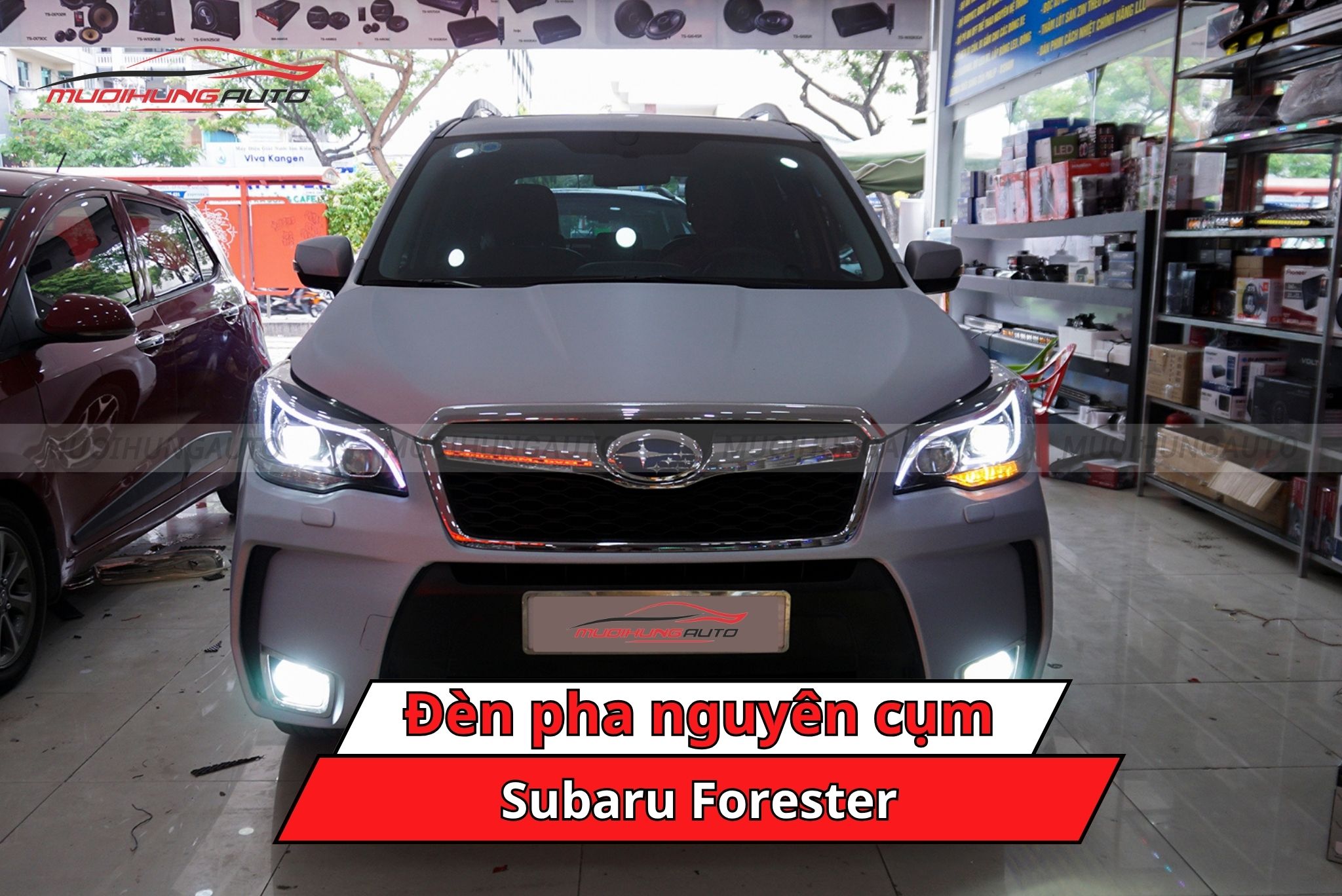Đèn pha nguyên cụm Subaru Forester