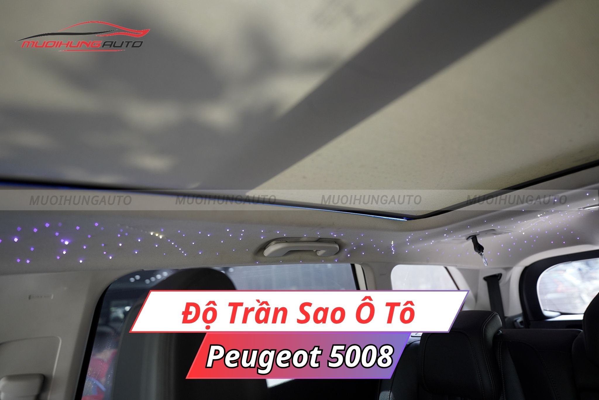 Đèn trần sao ô tô Peugeot 5008