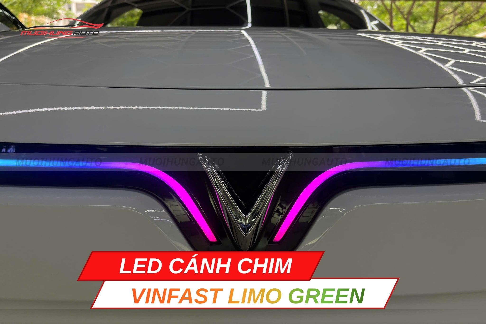 Độ đèn LED cánh chim Vinfast Limo Green