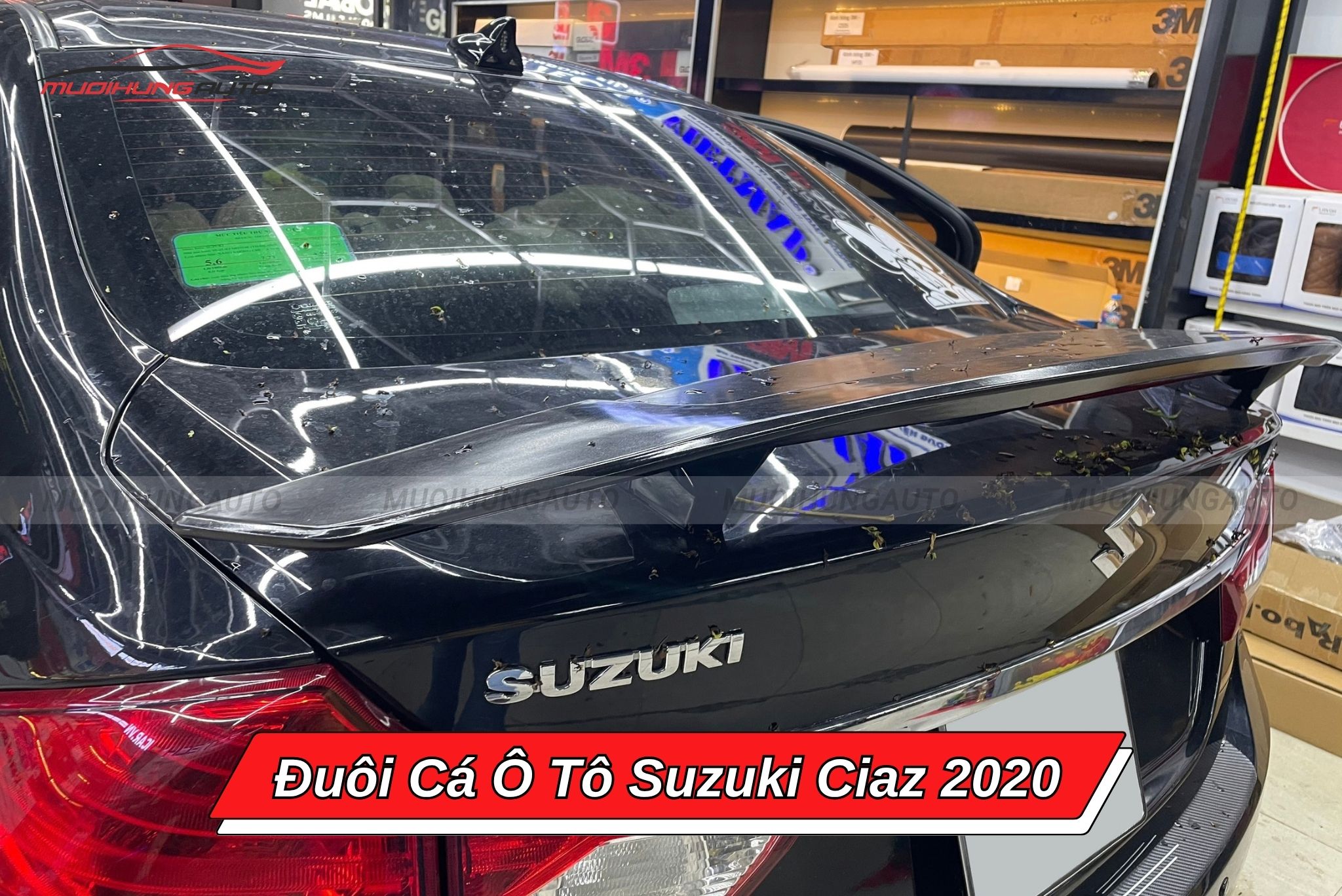 Đuôi cá Suzuki Ciaz 2020
