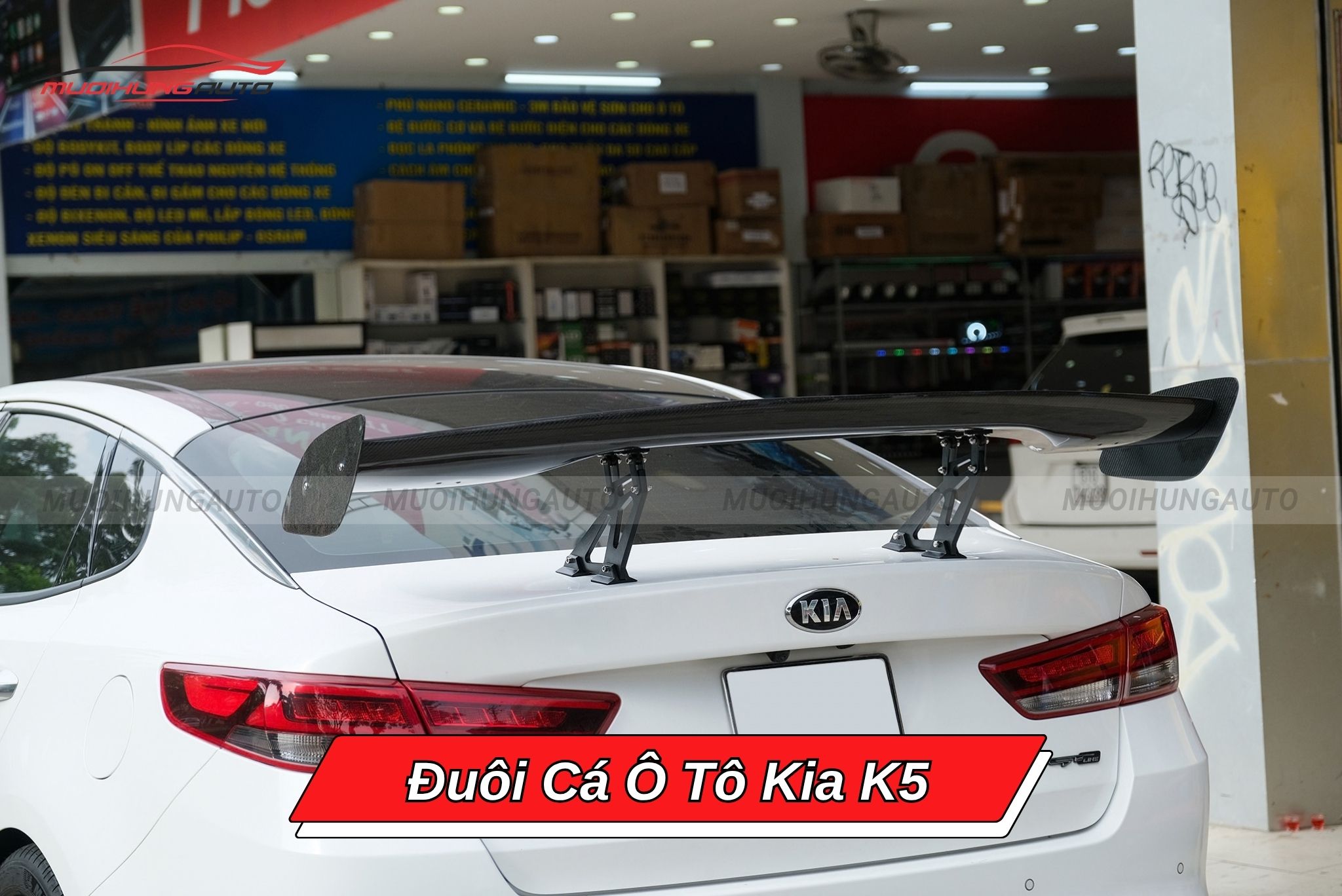 Đuôi cá xe hơi Kia K5