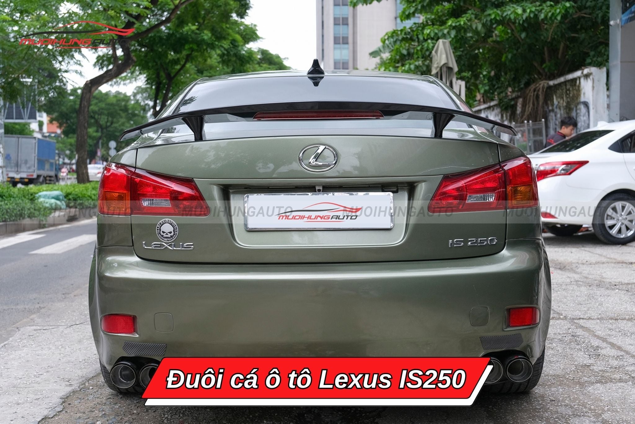 Đuôi cá xe hơi Lexus IS250