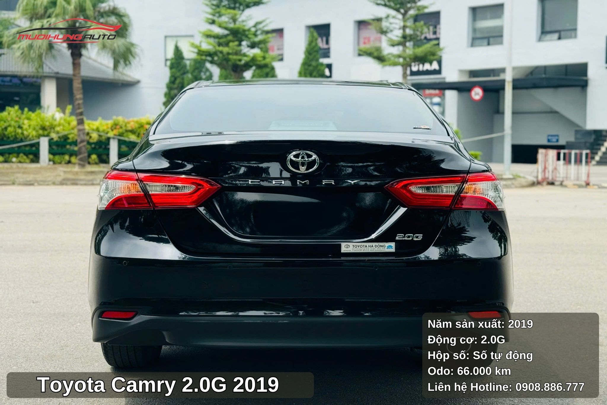 Đuôi xe Toyota Camry 2.0G 2019