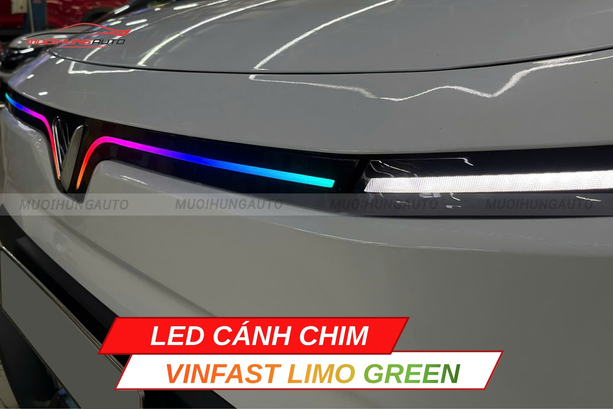 LED cánh chim cho Vinfast Limo Green