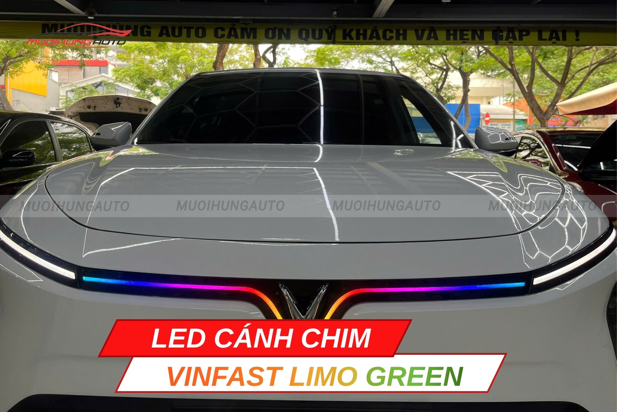 LED cánh chim cho xe Vinfast Limo Green