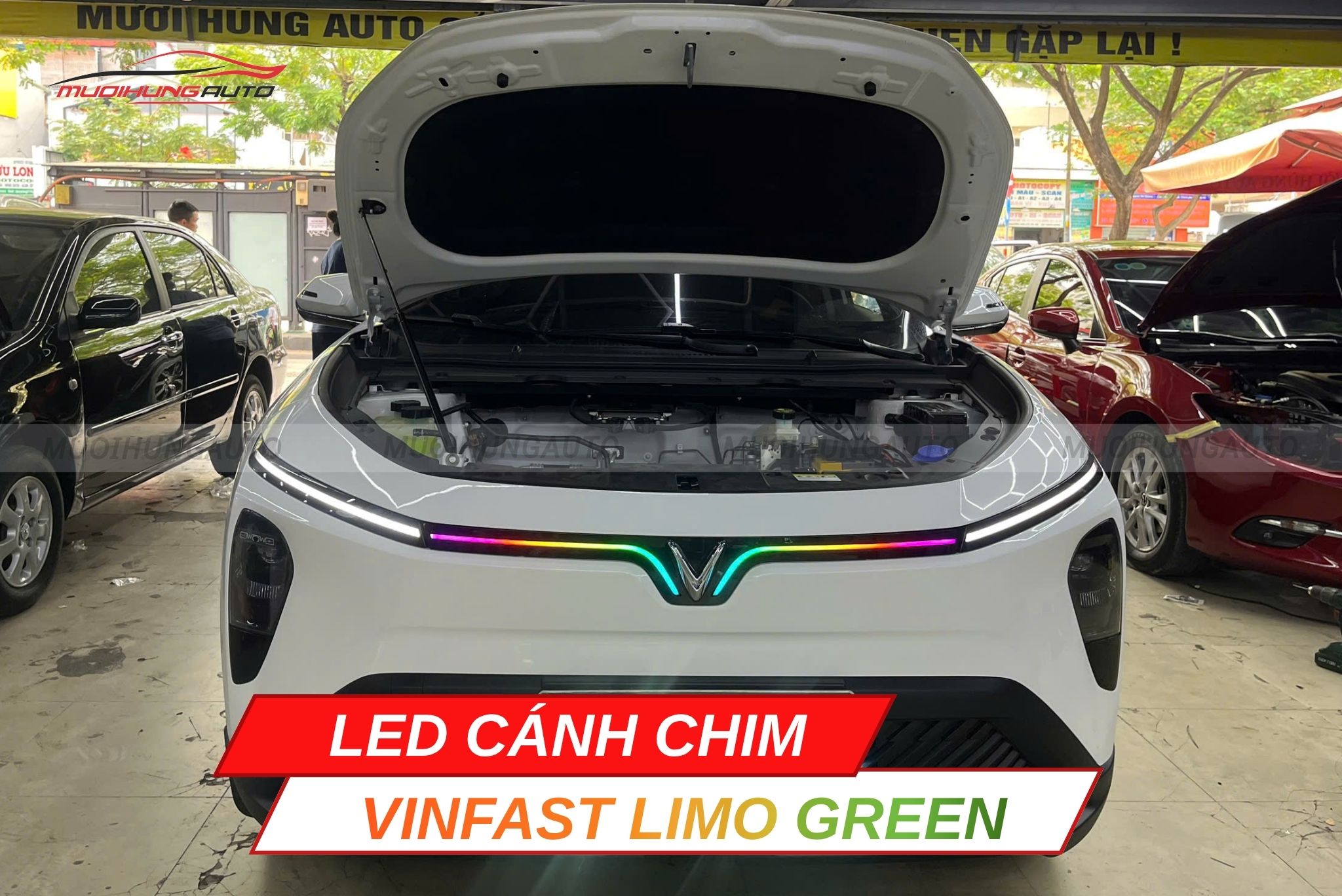 LED cánh chim ô tô Vinfast Limo Green