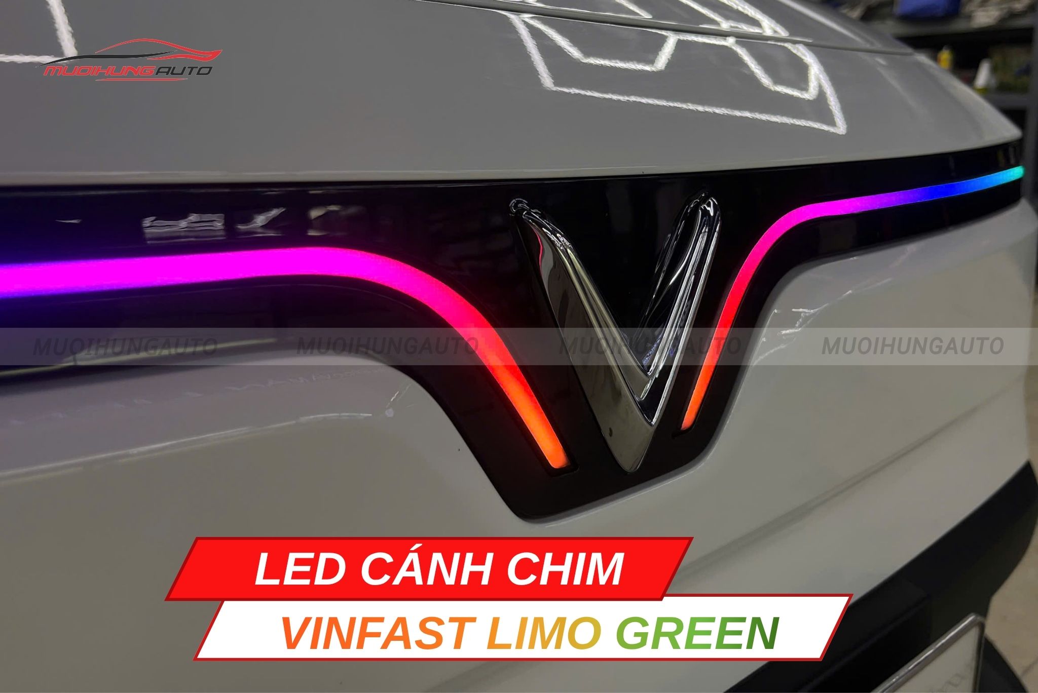 LED cánh chim xe Vinfast Limo Green