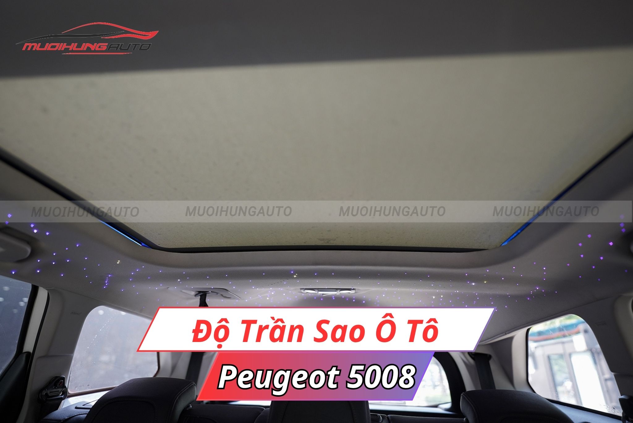 LED trần sao ô tô Peugeot 5008