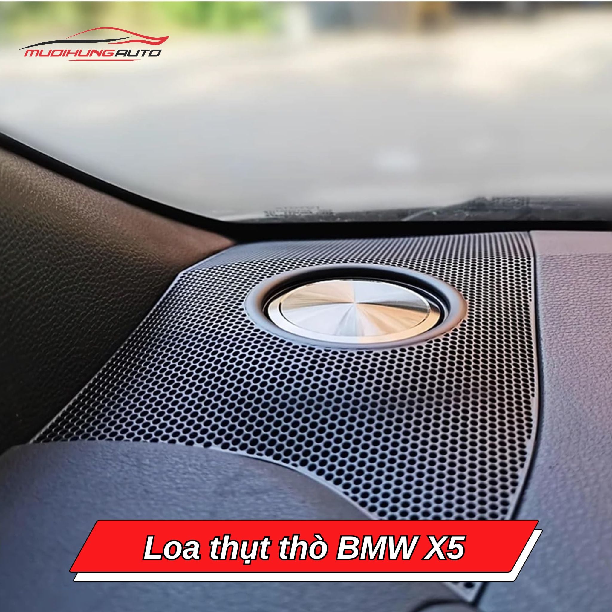 Loa ẩn hiện BMW X5