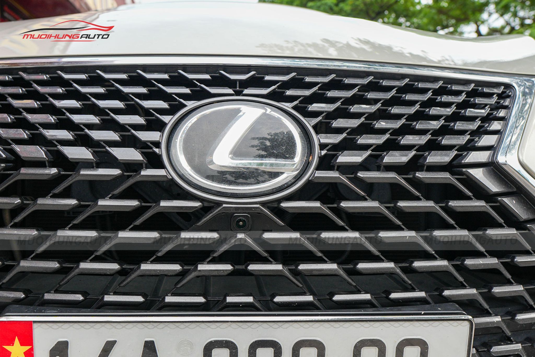 Mắt camera trước camera 360 độ ô tô Lexus RX350 2022