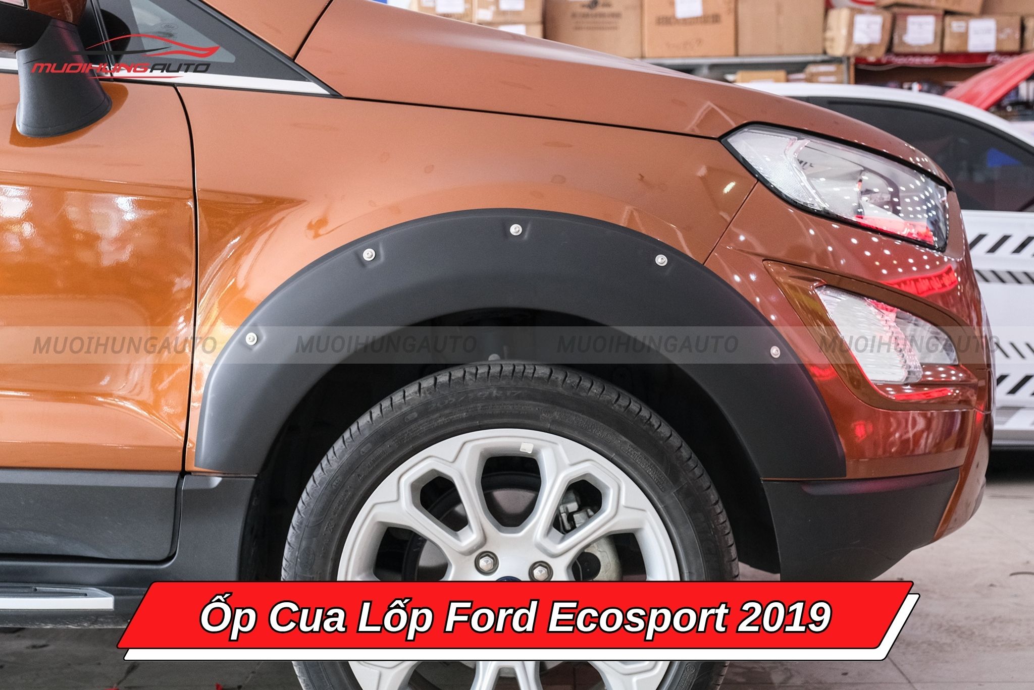 Ốp cua lốp Ford Ecosport 2019