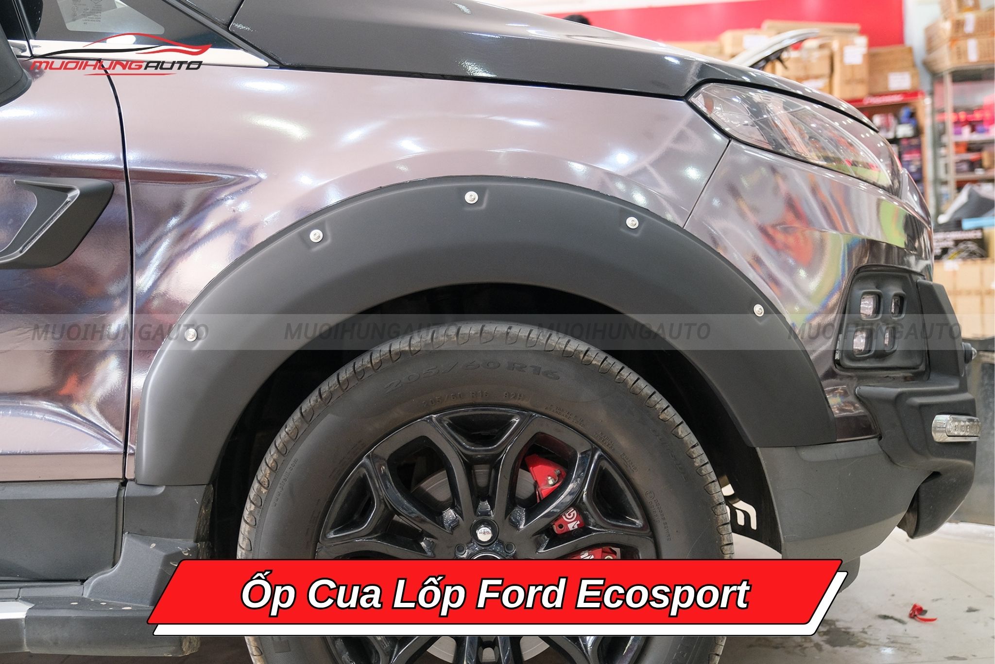 Ốp cua lốp Ford Ecosport