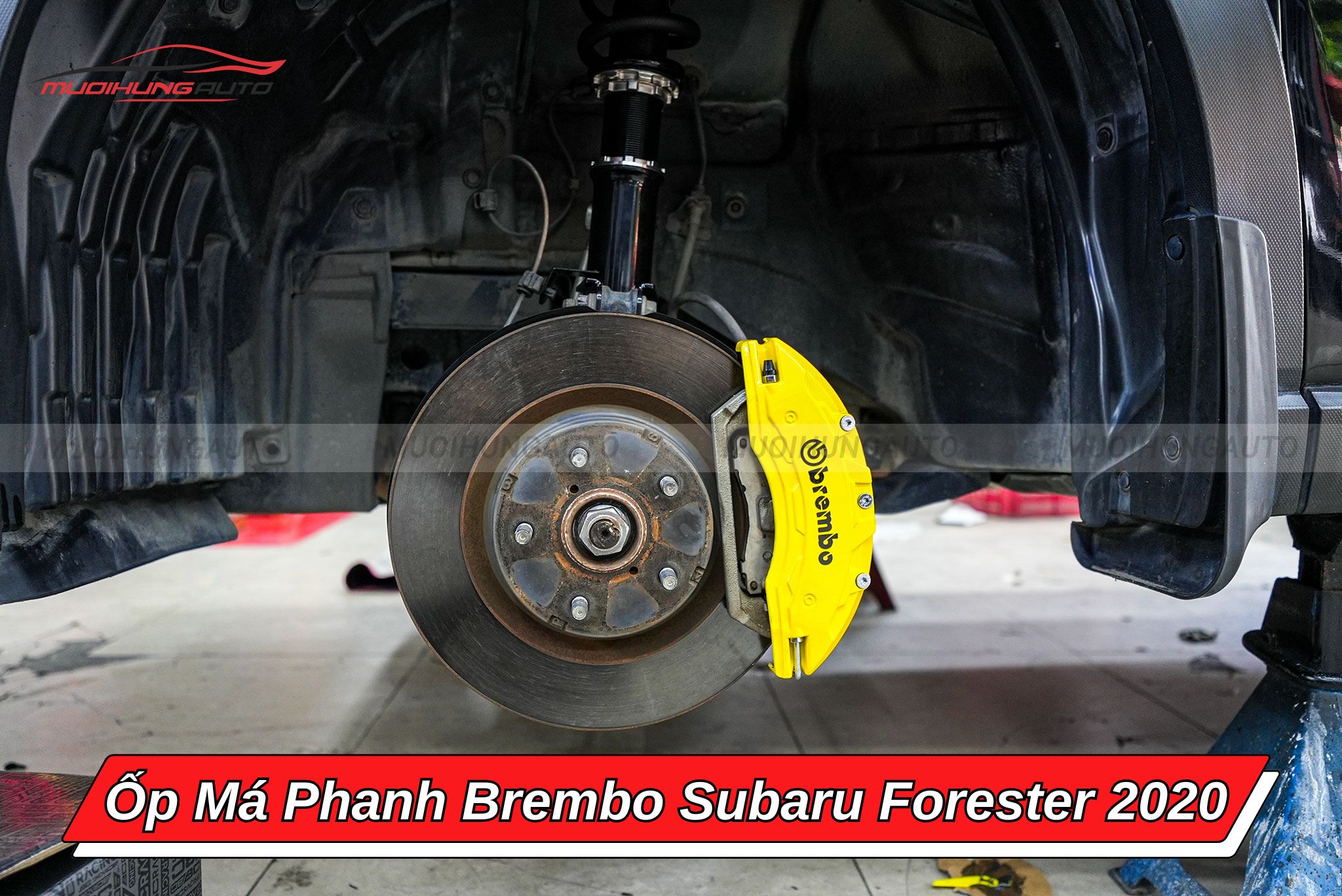 Ốp má phanh Brembo ô tô Subaru Forester 2020